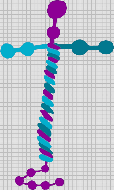 Laminin 211